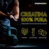 Energizex Creatina Premium 100% Monohidratada De Alta Pureza