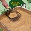 Catalyst Natural Soft Wood Cat Litter (2 Pack, 10lb Bags)