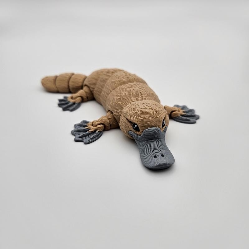 3D Printed Articulating Cutie Platypus Figurine Great Gift and Desk