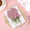 Tinideya 100 Pcs Dried Babys Breath Flowers Bulk Babys Breath
