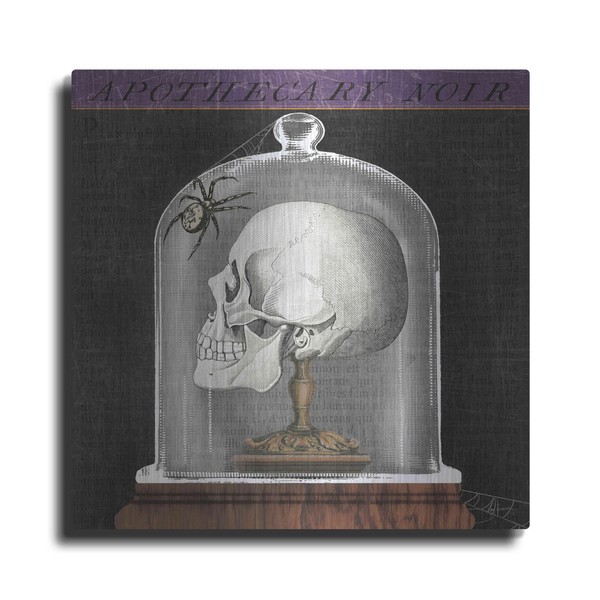 Luxe Metal Art 'Apothecary Noir II' by Sue Schlabach, Metal