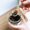 Wooden Teaspoon Mini Spoon Dessert Ice Cream Breakfast Coffee Tea