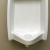 2pcs Urinal Drain Cover Bathroom Urinal Filter White Urinal Strainer