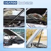 Rear Liftgate Hatch Lift Supports Struts Compatible with Dodge Challenger