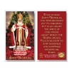 THE SAINTS COLLECTION Set of 20 Laminated Catholic Prayer Cards