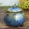 Stylish Kutani Ware Teapot Pot, Ginsayama Tea Flower Pot, Ceramic,