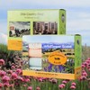 Olde Country Soap - The Original 8-Bar Box - (8)