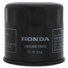 New 1999-2007 Honda VT 600 VT600 Shadow VLX OE Complete