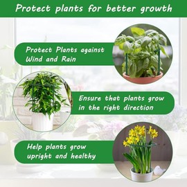 EAZINPU 30 Packs Plant Support Stakes, 9.4 inch & 5.5 inch Garden Flower Support Half Round Plant Stakes for Outdoor Plants, Plant Cage for Tomato Peony Hydrangea Climbing Plants