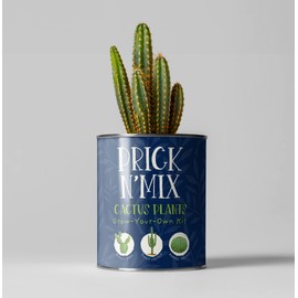 Cactus Grow Kit,Prick N Mix, Christmas Gift, The Plant Gift Co. Succulent & Cactus, Gardening Gift, Mixed Cactus Seeds: Barrel Cacti, Pin Cushion and More.