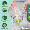 Aprikalife Matcha Orgánico En Polvo Certificado, 30 G