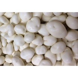 OliveNation Yogurt Covered Raisins 16 ounces