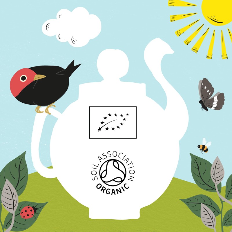 Organic Infusion Liquorice Tea - 20bags