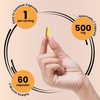 Genex Formulas Quercetin 500mg -60 Capsules for 60 Day Supply