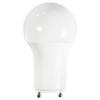 Diodesy- A19 LED Light Bulb 9.5W 800 Lumen 2 Prong