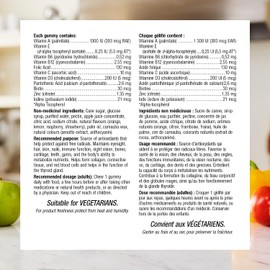 Webber Naturals Multivitamin Gummy, 90 Gummies, For the Maintenance of Good Health and Antioxidant Support, Vegetarian