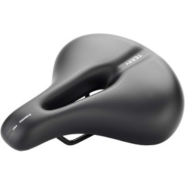 Terry Men's Anatomica Bicycle Saddle, Black, One Size