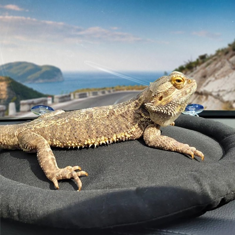 MiOYOOW Bearded Dragon Bed, Soft Car Lizard Sleep Mat with