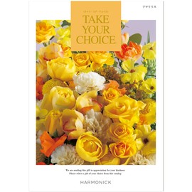 Harmonic Catalog Gift TAKE YOUR CHOICE Amaryllis Wrapping Paper: Eternal Sweet