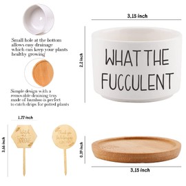 Succulent Pots 6 Pack, 3.15” Ceramic Funny Succulent Planters with Drainage and Bamboo Tray, Small Plant Pots with Plant Labels for Indoor Outdoor Plant, Birthday Gifts for Women - Plants Not Included