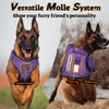 rabbitgoo Dog Harness for Large Dogs No Pull, Tactical Service