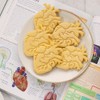 Cortador de galletas anatómico Corazón, 1 pieza - Bakerlogy
