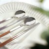 Iris Color Handle Stainless Steel Cutlery Set (Spoon + Chopsticks)