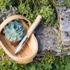 Burgon & Ball RHS Stainless Steel Rockery Trowel