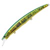 Palms Arc Clover AR-125S MG-510 Gold Green