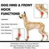 ROZKITCH Dog Leg Protector for Rear Hock Joint or Front