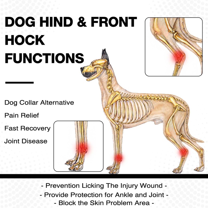 ROZKITCH Dog Leg Protector for Rear Hock Joint or Front
