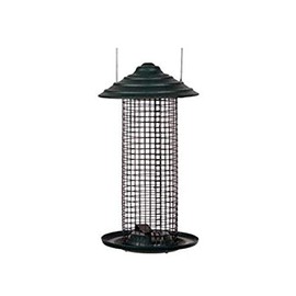 Woodlink NAMINIMAG1 Audubon Mini Steel Sunflower Oil Magnum Wild Bird Feeder, Black