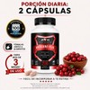 Suplemento Arándano Rojo 200 Cápsulas 500mg A4h Armor For He