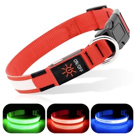 BSEEN Light Up Dog Collar - Rechargeable LED Dog Collar - Water-Resistant Reflective Puppy Collars- Glow in The Dark Christmas Dog Lights for Night Walking (Ruby Red, Medium)