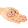 SOUR PATCH KIDS Watermelon Soft & Chewy Candy, Bulk Candy,