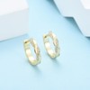 Gold Hoop Earrings for Women Grils, Hypoallergenic Small Huggie Hinged