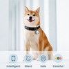 Pawaii Silent Silicone Dog ID Tag, Modifiable Pet Online Profile