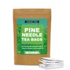 Pine Needle Tea Bags, 40 Teabags, Pine Needles Herbal Tea