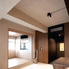 SUZUKA Strato Texture Limewash Effect Matte Wall Paint SCT-310 -