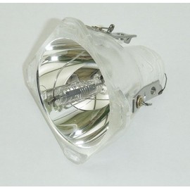 Replacement for SMARTBOARD 3000I DVX Bare LAMP ONLY Projector TV Lamp Bulb by Technical Precision