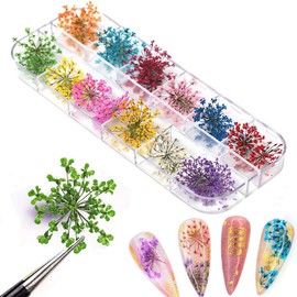 KINGMAS 12 Colors Dried Flowers for Nail Art, 1 Box Dry Flowers Mini Real Natural Flowers Nail Art Supplies 3D Applique Nail Decoration Sticker Decor (A)