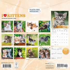 Carousel Calendars, Kittens I Love 2026 Wall Calendar, 12'' X 12'', 16-Month Calendar with Stapled Binding
