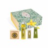 KIT EXCLUSIVO VERBENA PREMIUM