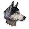 Husky - 3" Vinyl Sticker - for Car Laptop I-Pad