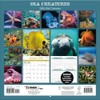 TURNER PHOTOGRAPHIC Sea Creatures 12x12 Photo Wall Calendar (26998940107)