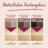 Poly Palette Vital Colour Intensive Cream Hair Colour 10-11 Silver