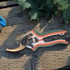 Pruning Shears 8 Inch SK5 Alloy Steel Incisive Gardening Tools