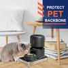 Beautyflier Raised Dog Feeder Stand Elevated Holder for Automatic Cat