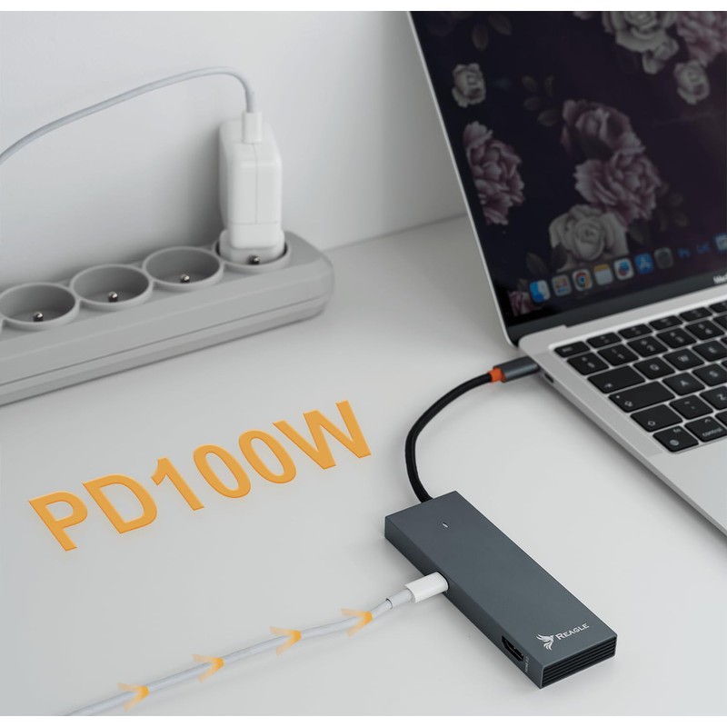 Reagle 7-in-1 USB-C Hub with 100W Power Delivery, 4K HDMI