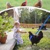 Chicken Harness and Leash, Modified Adjustable Breathable Harness Specially Designed
